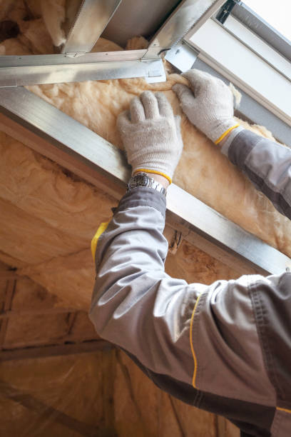 Best Eco-Friendly Insulation in Porcupine, SD
